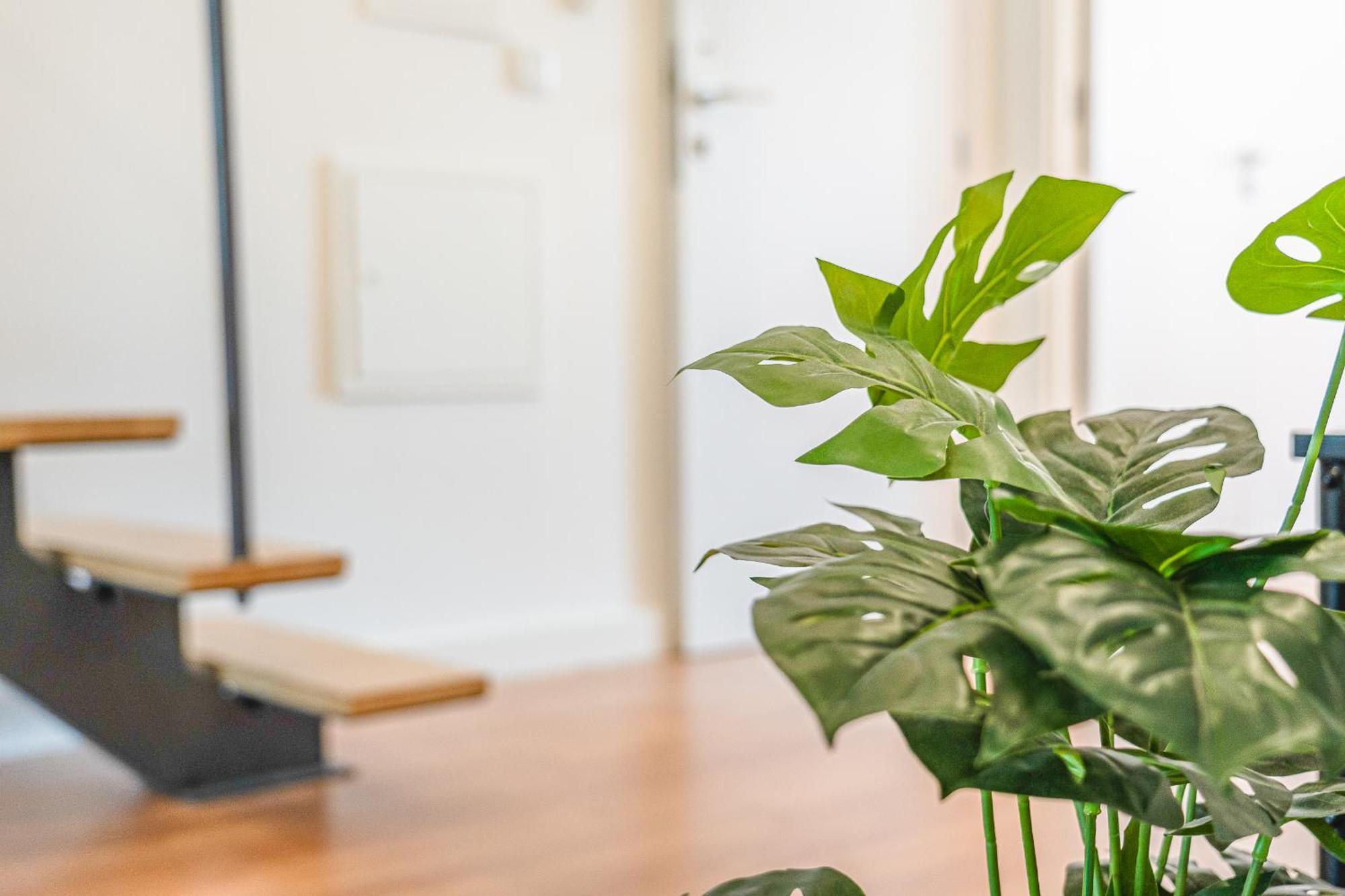 Ajuda Deluxe Apartments Lisboa Εξωτερικό φωτογραφία